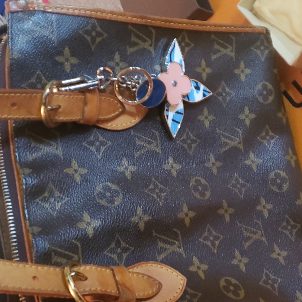 LV ACCESSORIES - Picture 6 of 12